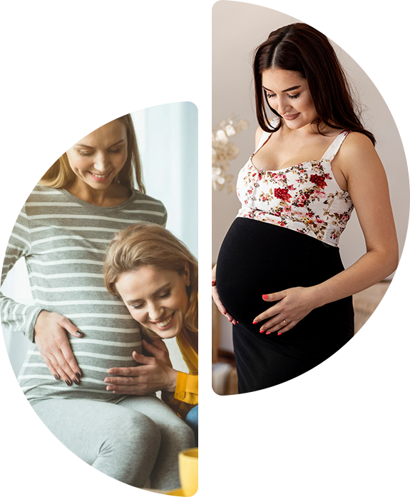 find a surrogate agency in Texas